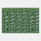 グリーントラ離れ植物学 ラッピングペーパーシート (正面3)