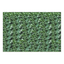 グリーントラ離れ植物学