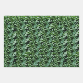 グリーントラ離れ植物学 ラッピングペーパーシート