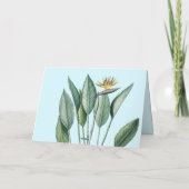 グリーントロピカルジャングルバナナツリーストレリツィア カード (裏面)