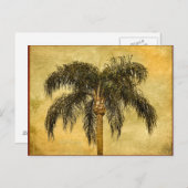 グリーントロピカルパームツリーハワイアンヴィンテージパームズ ポストカード (正面/裏面)