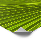 グリーントロピカルパームツリーフロンド ポスター (角)