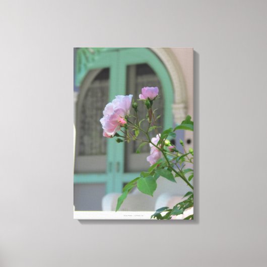 グリーンドアとバラ – マーサズヴィネヤード キャンバスプリント (正面)