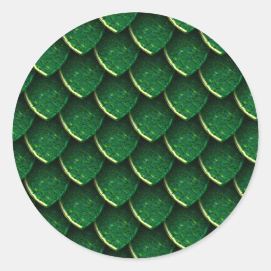 グリーンドラゴンスケール ラウンドシール (正面)