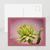 グリーンドリーム ポストカード (正面/裏面)