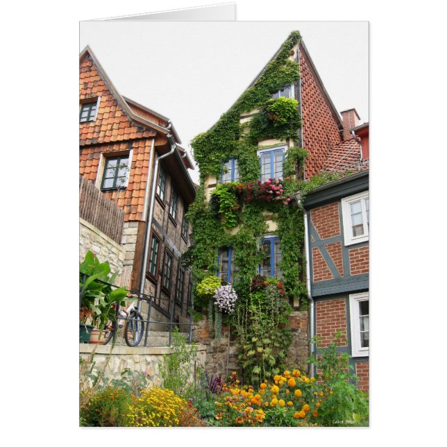 グリーンハウス効果 (正面)