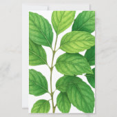 グリーンハミングバードリーフ縁どボタ結婚ン (裏面)