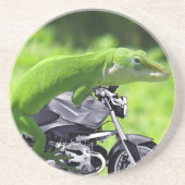 グリーンハワイアンゲッココースター コースター (正面)