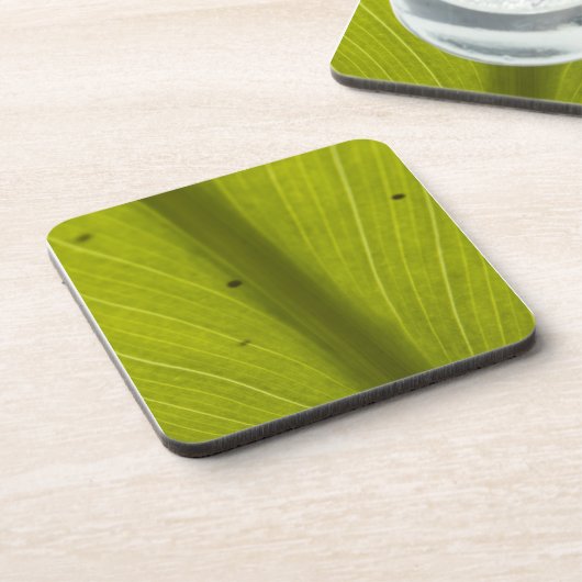 グリーンハワインリーフクローズアップ コースター (左側)