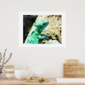 グリーンバシリスカゲ ポスター (キッチン)