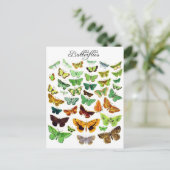 グリーンバタフライコレクション ポストカード (スタンド正面)