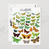 グリーンバタフライコレクション ポストカード (正面/裏面)