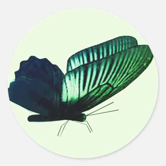 グリーンバタフライ封筒用シール ラウンドシール (正面)