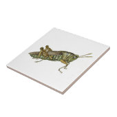 グリーンバッタのセラミックタイル タイル (側面)