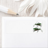 グリーンバッタ二匹/ケイディッド ラベル (インサイチュ)