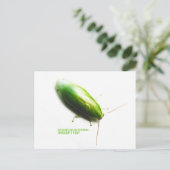 グリーンバナナゴキブリパンクロラニヴェア ポストカード (スタンド正面)