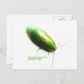 グリーンバナナゴキブリパンクロラニヴェア ポストカード (正面/裏面)