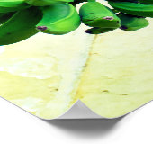 グリーンバナナ ポスター (角)