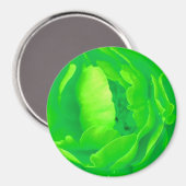 グリーンバラマグネット – カスタマイズ可能 マグネット (正面/裏面)