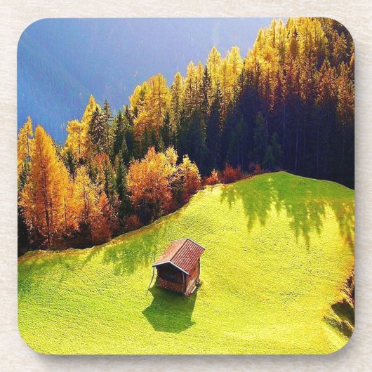 グリーンバレー コースター (正面)