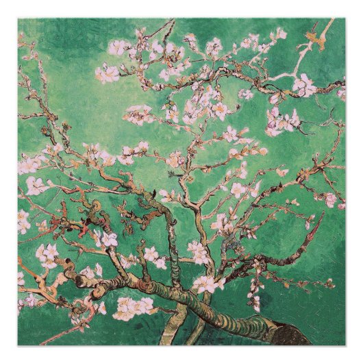 グリーンバンゴッホアーモンドの花 ポスター (正面)