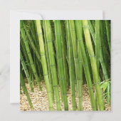 グリーンバンブーのアジアン ブライダルシャワー 招待状 (裏面)