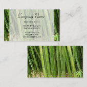 グリーンバンブーアジア 名刺 (正面/裏面)