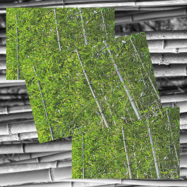 グリーンバンブーツリーズグローブナチュラルフォト 薄葉紙