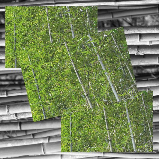 グリーンバンブーツリーズグローブナチュラルフォト 薄葉紙