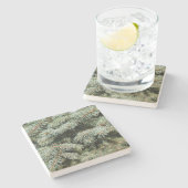 グリーンパインタイムズスクエアコースター ストーンコースター (横)