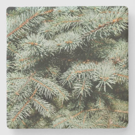 グリーンパインタイムズスクエアコースター ストーンコースター