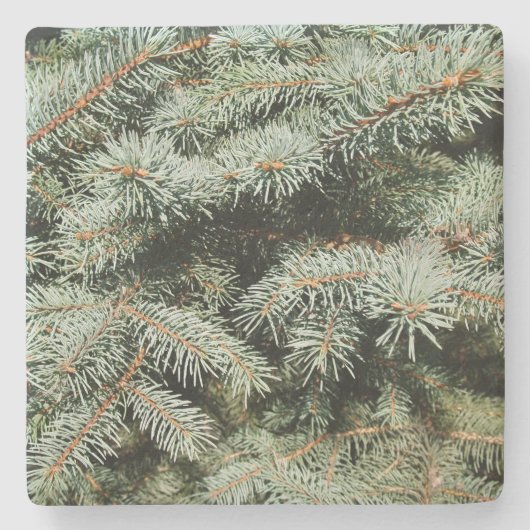 グリーンパインタイムズスクエアコースター ストーンコースター (正面)