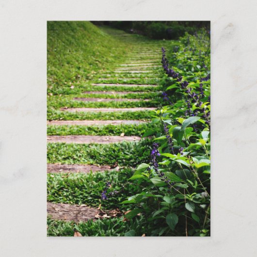 グリーンパス ポストカード (正面)