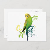 グリーンパラケート ポストカード (正面/裏面)