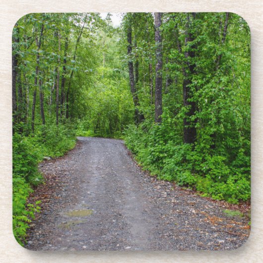 グリーンパラダイス コースター (正面)