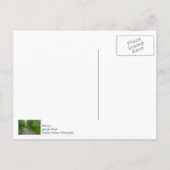 グリーンパラダイス ポストカード (裏面)