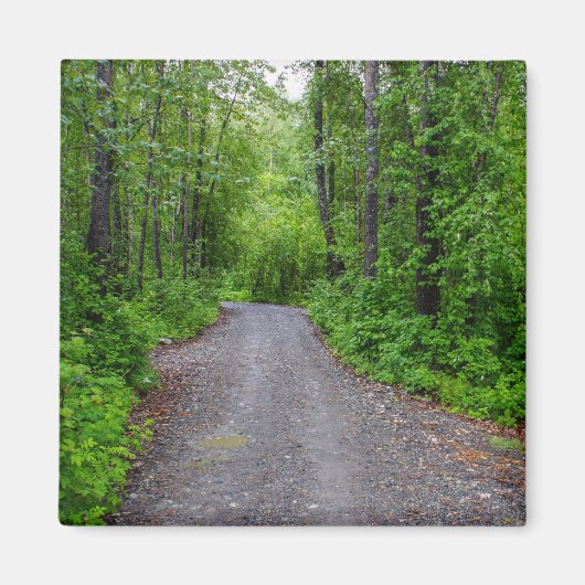 グリーンパラダイス マグネット (正面)