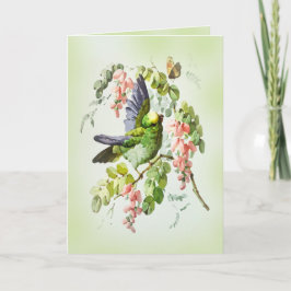 グリーンパロットとピンクのアカシアの花 ヴィンテージ カード