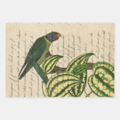 グリーンパロットオンブランチ葉と ラッピングペーパーシート (正面2)