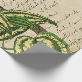グリーンパロットオンブランチ葉と ラッピングペーパー (角)
