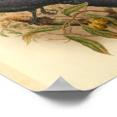 グリーンパープルマニュコードヴィンテージバードプリント ポスター (角)