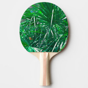 グリーンパームの木の植物の葉パステル 卓球ラケット