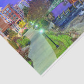 グリーンビル、サウスカロライナReedy River at Night 薄葉紙 (詳細)