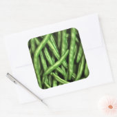 グリーンビーンズ四角ステッカー スクエアシール (封筒)