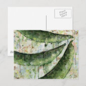 グリーンビーンズ3 ポストカード (正面/裏面)