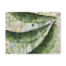 グリーンビーンズ3