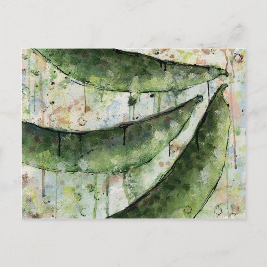 グリーンビーンズ3 ポストカード (正面)