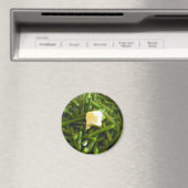 グリーンビーンズ マグネット (インサイチュ (食洗機))