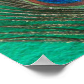 グリーンピーコックの羽毛ポスター ポスター (角)