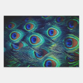 グリーンピーコックフェザーズコレクション ラッピングペーパーシート (正面3)